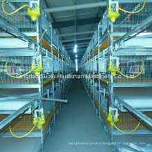 Chicken Cages for Broiler and Layer in Poultry House with Farm Construction